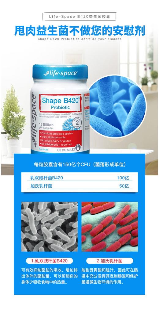 【澳洲直邮】Life Space B420塑身益生菌胶囊 60粒JPY带授权招加盟代理 商品图2