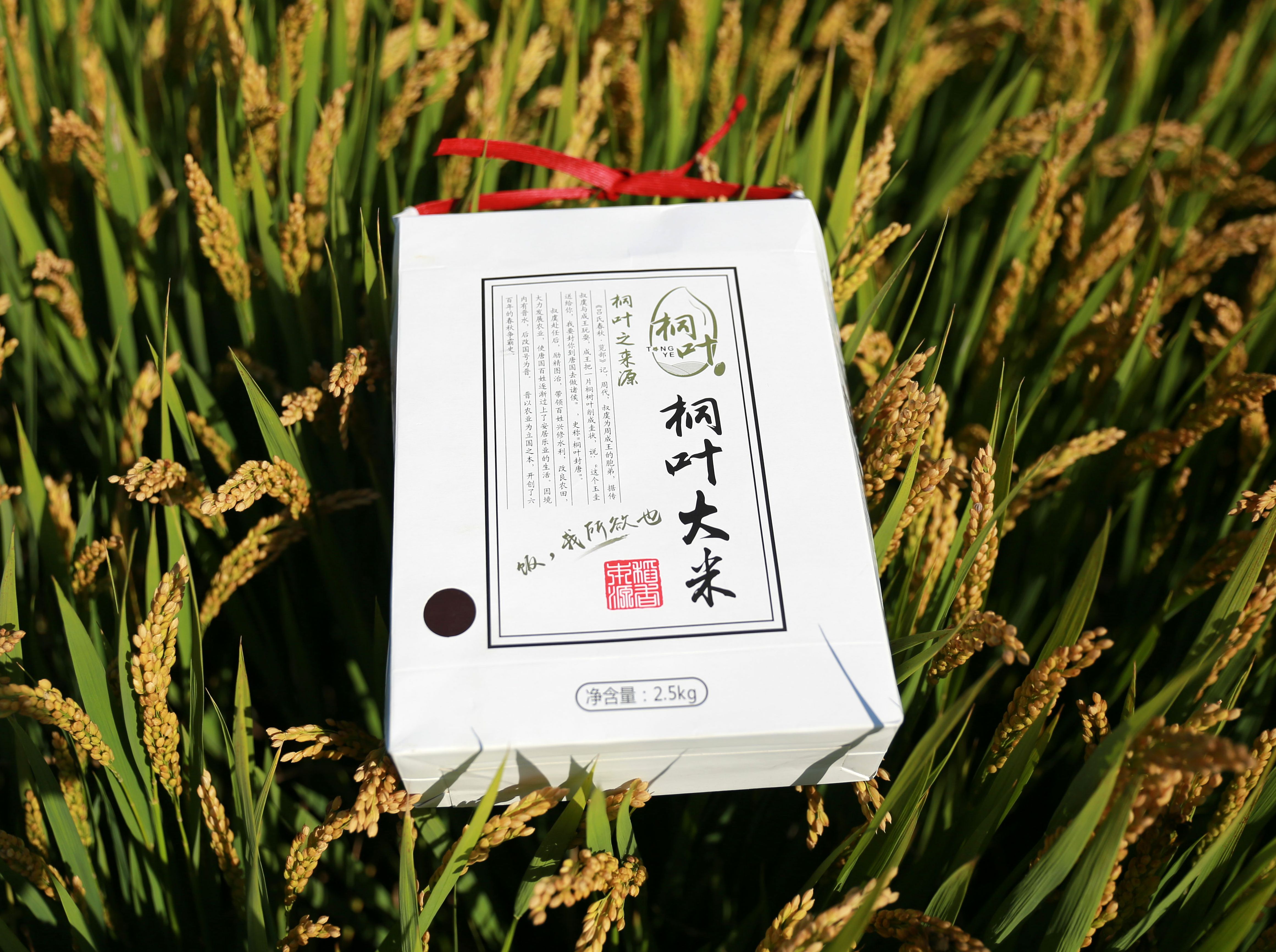 【桐叶大米半年、季度配送】人是铁，饭是钢，一顿不吃饿的慌