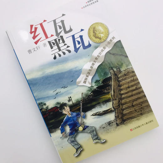 红瓦黑瓦 商品图1