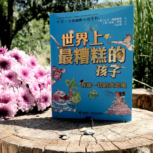 大卫·少年幽默小说系列 全12册 商品图7