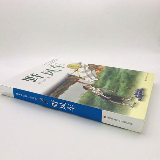 曹文轩纯美小说系列:野风车 商品图2