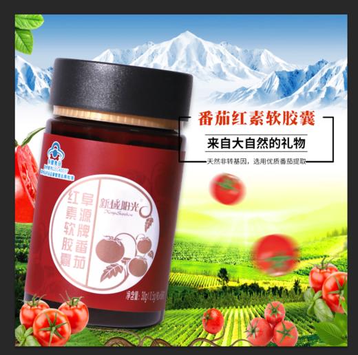 新疆科宇科技番茄红素软胶囊 商品图0