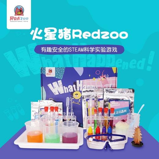 Redzoo火星猪 WHAT HAPPENED尖叫科学 亲子互动桌游玩具JPY带授权招加盟代理 商品图0