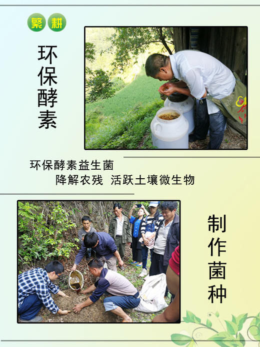 贵州深山酵素生态大米 392项农残0检出 商品图4