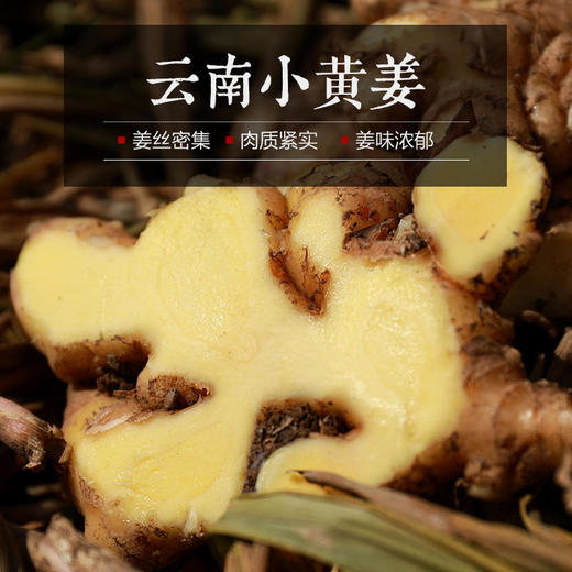 【云南好物】小黄姜  3斤/5斤 商品图2