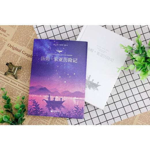 汤姆·索亚历险记 商品图1