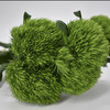 绿毛球中大花 商品缩略图1