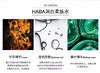 日本HABA 无添加沁润柔肤水VC爽肤水180MLJPY带授权招加盟代理 商品缩略图2