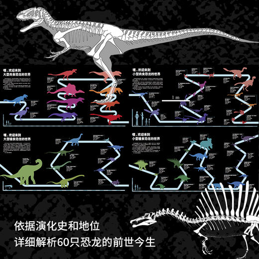 PNSO恐龙博物馆系列（全四册）（大型肉食恐龙+小型肉食恐龙+大型植食恐龙+小型植食恐龙） 商品图4
