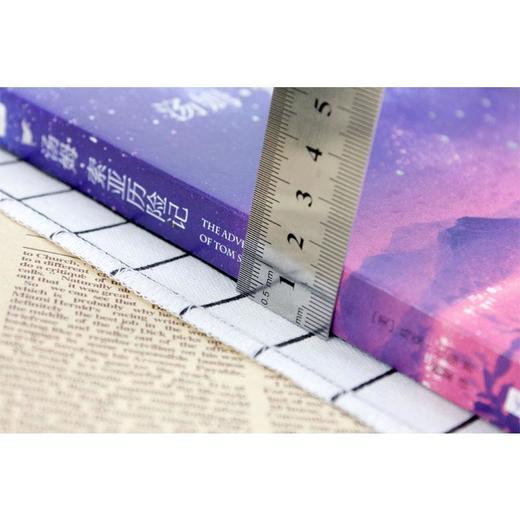 汤姆·索亚历险记 商品图2