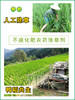 贵州深山酵素生态大米 392项农残0检出 商品缩略图5