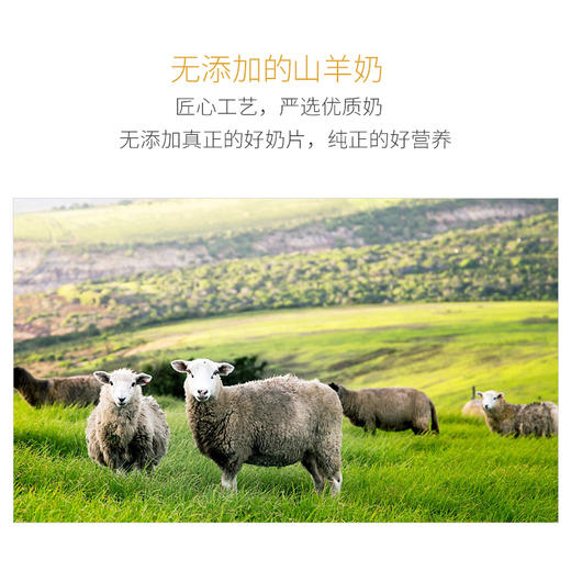 汪哒哒狗狗羊奶酪片健骨补钙宠物泰迪美毛补钙易吸收易消化 商品图1