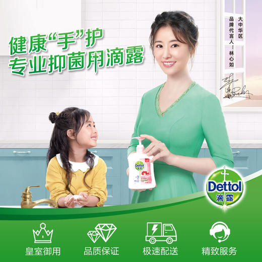 滴露Dettol 经典洗手液450g/泡沫洗手液250ml 植物呵护配方 有效抑菌 48小时发货 商品图1