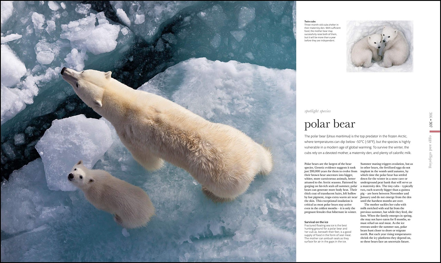 中商原版动物科学英文原版dkthescienceofanimals