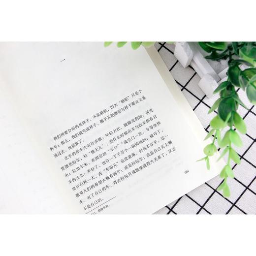 骆驼祥子 商品图1