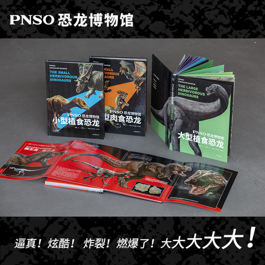 PNSO恐龙博物馆系列（全四册）（大型肉食恐龙+小型肉食恐龙+大型植食恐龙+小型植食恐龙） 商品图1