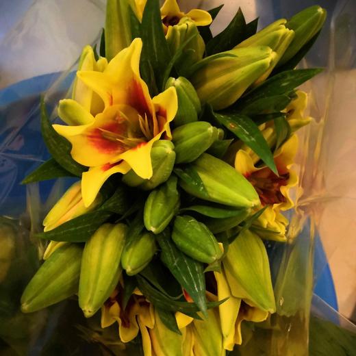 百合-皇冠-三头-10枝/扎 商品图1