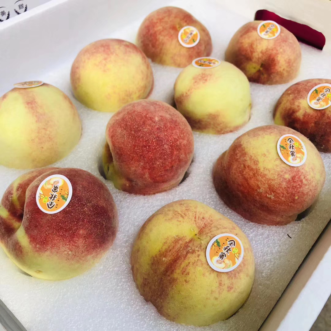 金秋十月 蜜桃成熟～脆甜 金秋蜜桃