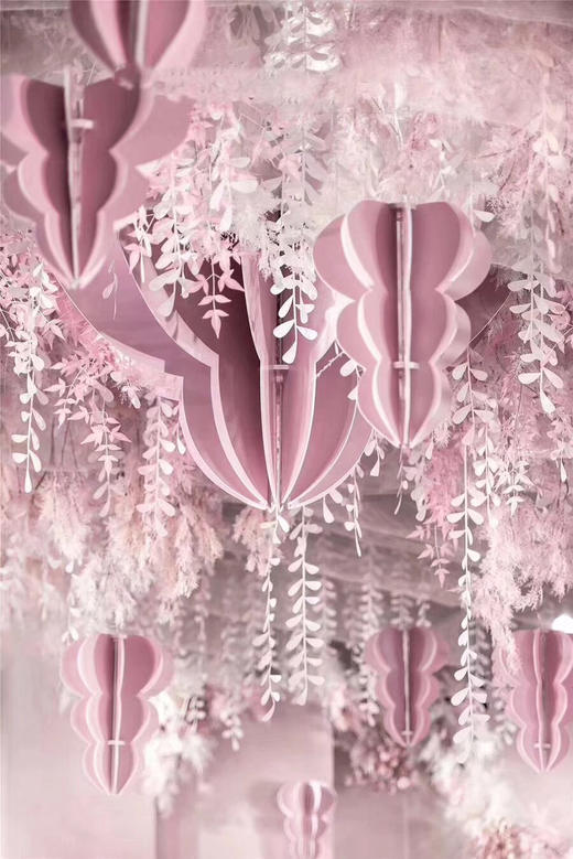 柳叶【运费自理】 商品图3