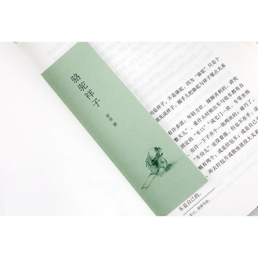 骆驼祥子 商品图4