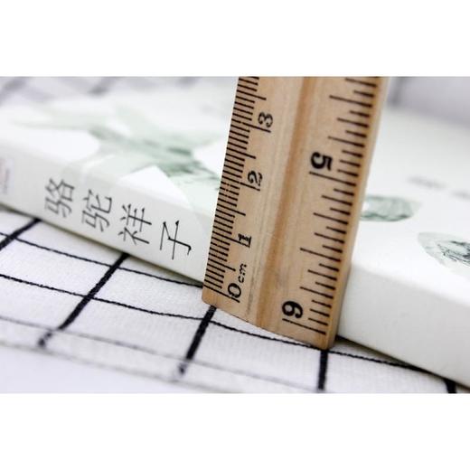 骆驼祥子 商品图3