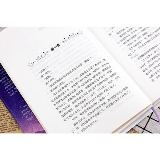 汤姆·索亚历险记 商品图4