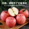 【菩提4A果】54枚75mm中果精品装6盒9枚75精品装  陕西洛川红富士苹果4A级 商品缩略图1