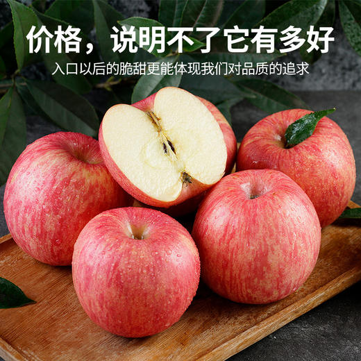 【菩提4A果】54枚75mm中果精品装6盒9枚75精品装  陕西洛川红富士苹果4A级 商品图1