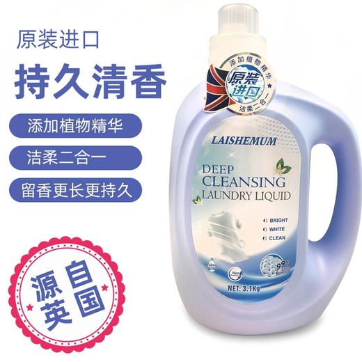 莱氏姆深层洁净洗衣液 商品图1