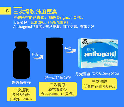 【澳洲直邮】澳洲Anthogenol月光宝盒葡萄籽精华胶囊30粒JPY带授权招加盟代理 商品图9