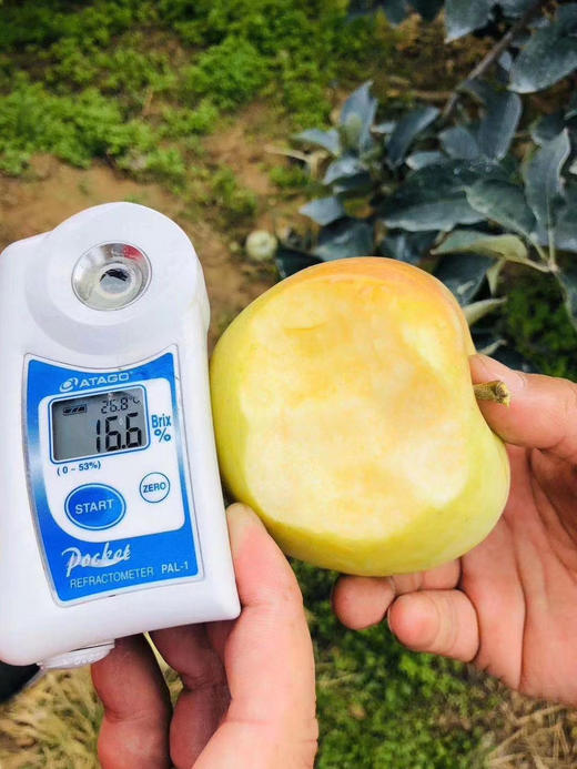 青森苹果 商品图3