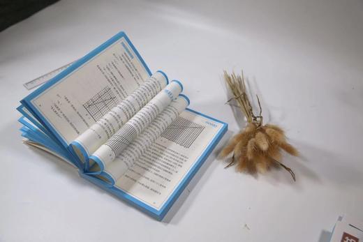 给孩子的数学三书——原来数学可以这样学（全三册） 商品图10