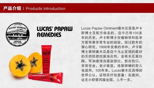 【澳洲直邮】LucasPapaw木瓜膏霜25gJPY带授权招加盟代理 商品图12