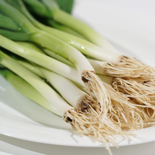 蒜苗/青蒜300g 商品图3