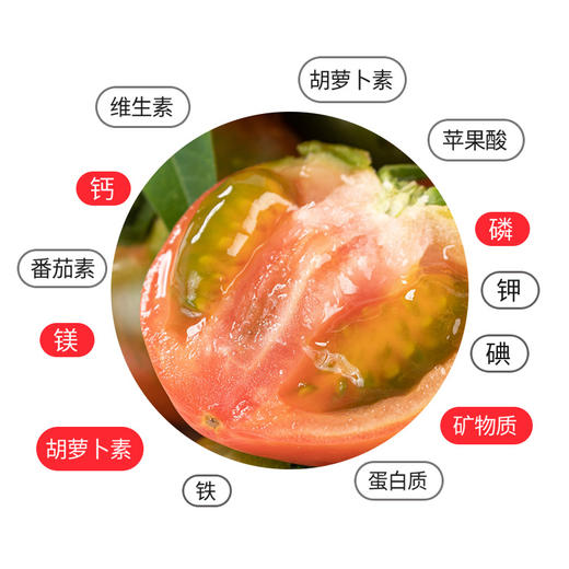盘锦碱地西红柿 商品图6