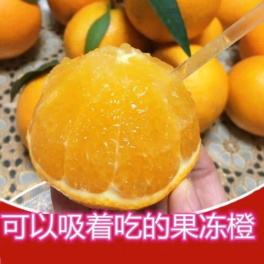 红美人爱媛28号果冻橙大果 商品图1
