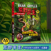 贝尔荒野求生少年生存小说拓展版01 巨蟒丛林的黄金密码  商品缩略图1