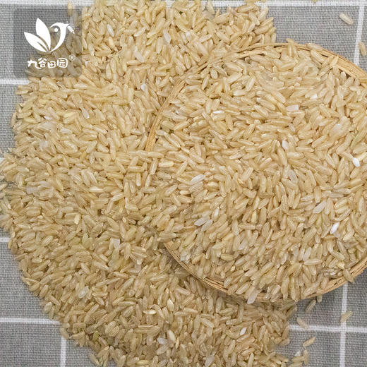 糙米——  膳食纤维  全谷物 380g 商品图2