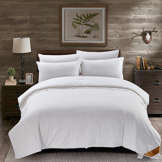 【远梦】纯桑蚕丝生态热能绒二合一被 商品图0