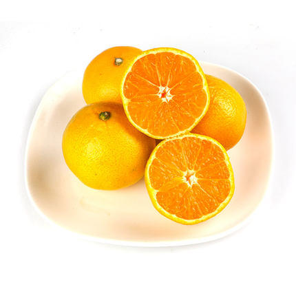 活动皇帝贡柑 商品图0