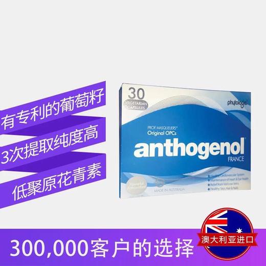 【澳洲直邮】澳洲Anthogenol月光宝盒葡萄籽精华胶囊30粒JPY带授权招加盟代理 商品图0