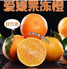 红美人爱媛28号果冻橙大果