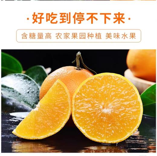红美人爱媛28号果冻橙大果 商品图7