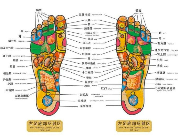热敷按摩足疗机(佳仁) | 明星御用款,打通足底,全身舒畅
