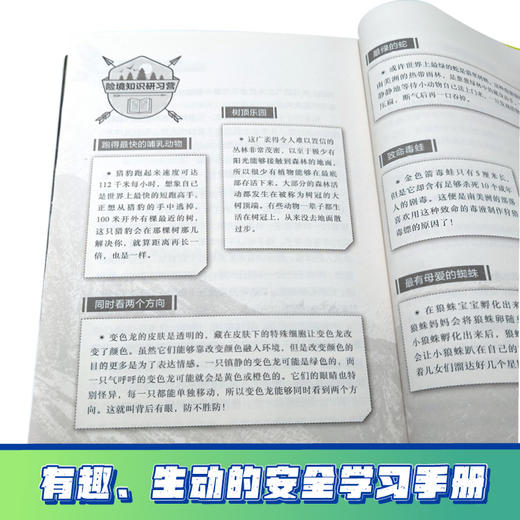 贝尔荒野求生少年生存小说拓展版12 猎豹幽谷的双重潜伏 商品图3