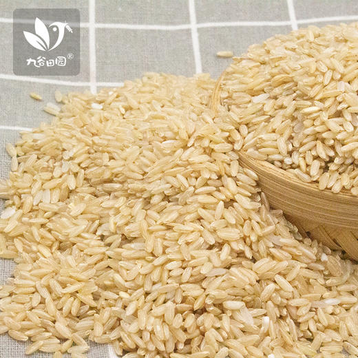 糙米——  膳食纤维  全谷物 380g 商品图0