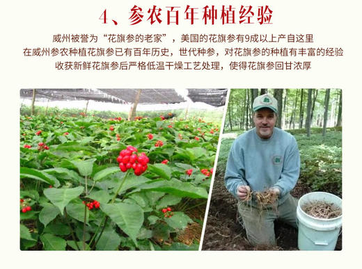 【美国直邮】WOHO花旗参长枝JPY带授权 商品图6