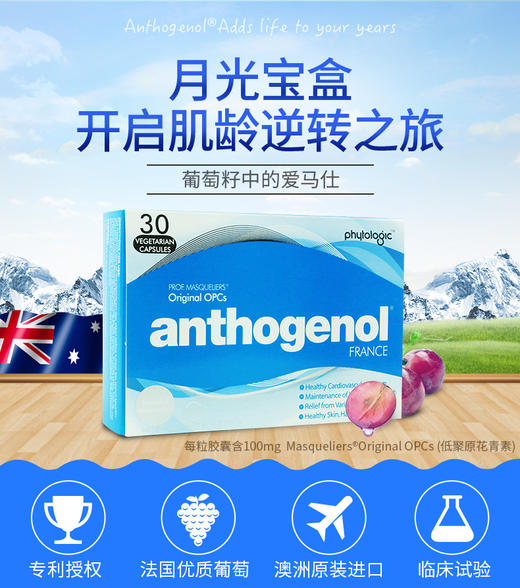 【澳洲直邮】澳洲Anthogenol月光宝盒葡萄籽精华胶囊30粒JPY带授权招加盟代理 商品图3