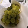 配花-黄金球-20枝/扎 商品缩略图0