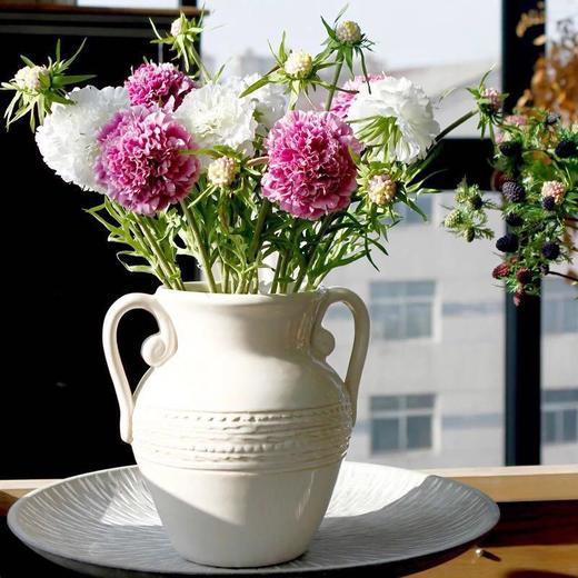 松虫草配色 商品图6